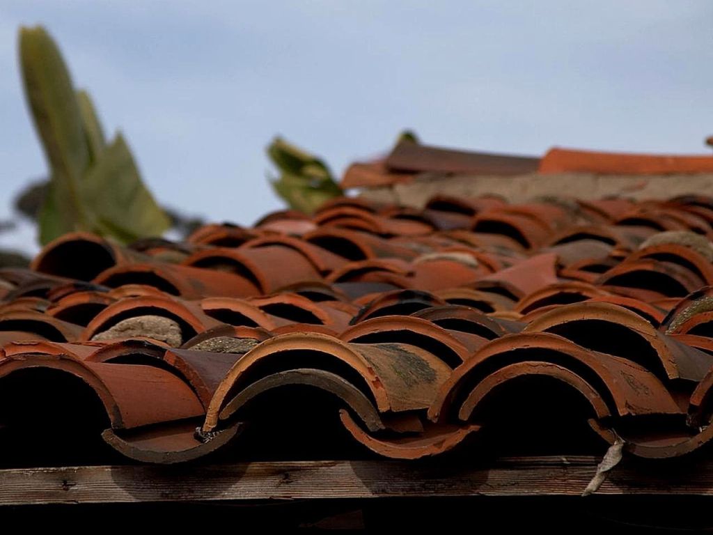 Roofers in Haledon, NJ